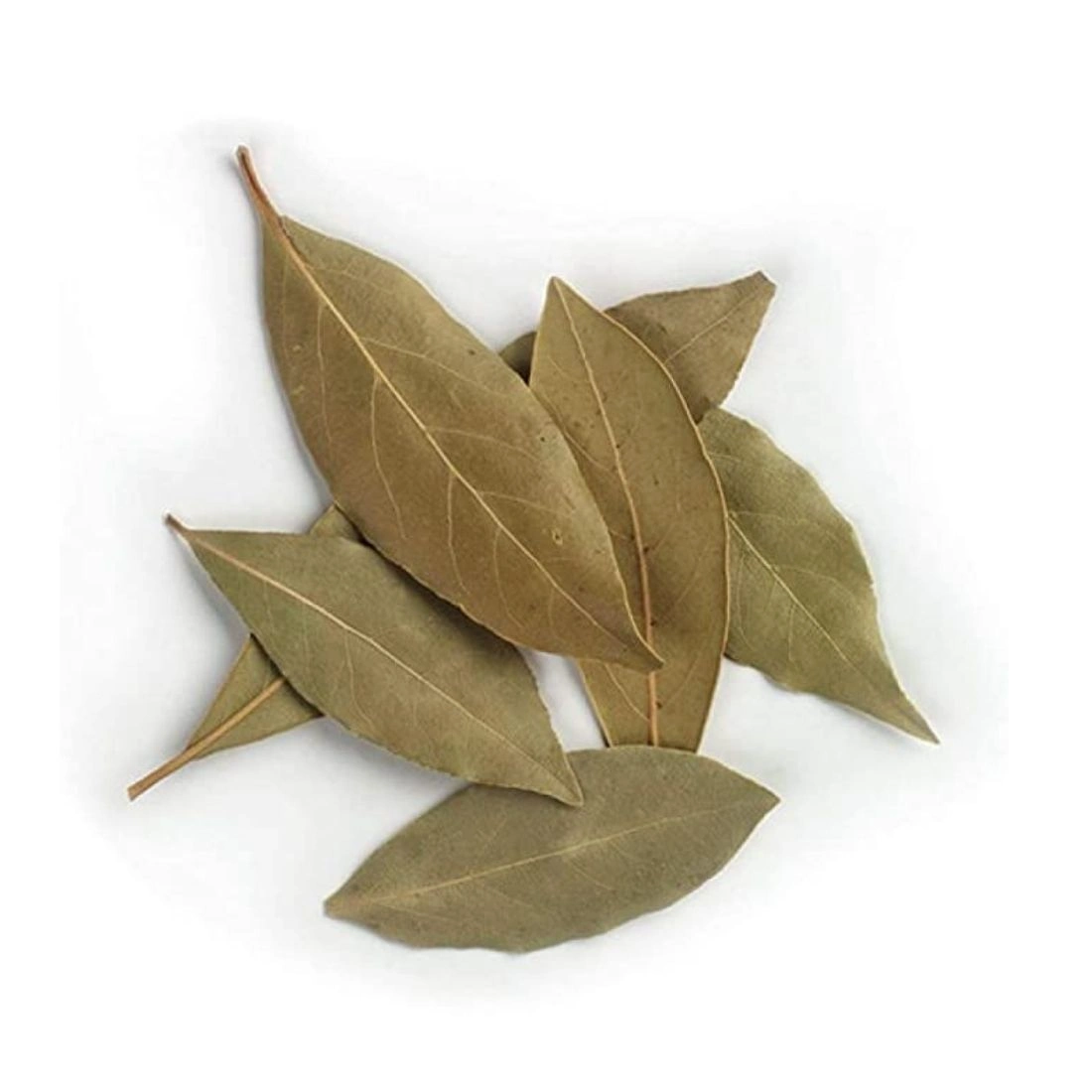 Bay Leaves