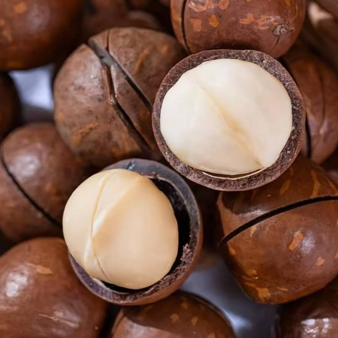 Macademia Vanilla Roast