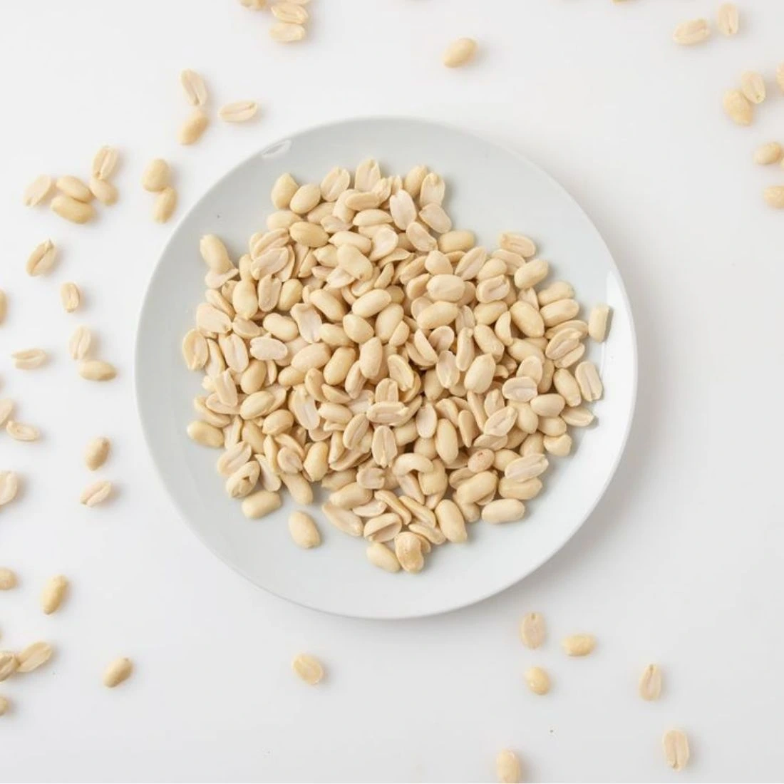 Blenched Peanut Kernel